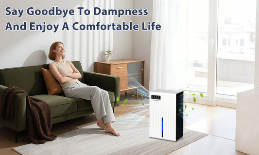 Say goodbye to dampness! ZhiQi guides you through dehumidifiers