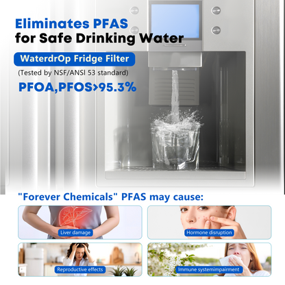 RWF1063 Refrigerator Water Filter, Replacement for GE RPWF (NOT RPWFE), WSG-4, MPF15350, DWF-36, R-3600, OPFG3-RF300, RWF3600A, WD-RPWF, WF277,GFE28GYNFS, GFE28GELDS, PFE28KELDS, Fridge Filter