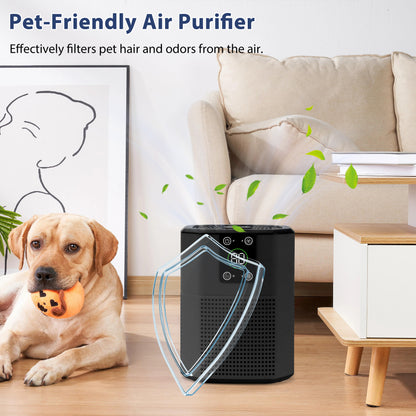 ZhiQi Desktop Small Air Purifier for Home Office, H13 HEPA Cleaner with Aroma Function & Sleep Mode