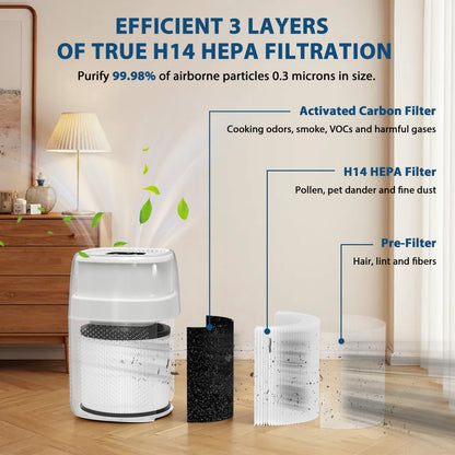 Air Purifier for Allergies and Pets,H14 HEPA Filter, for Home,  Bedroom and Living Room, ZQA-5000A