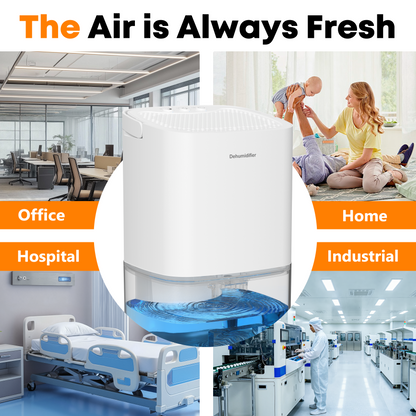 Dehumidifier, 35OZ Water Tank Dehumidifiers for Home, Quiet Dehumidifier for Basement Bathroom Bedroom RV with Auto Shut Off, 7 Color Light, White